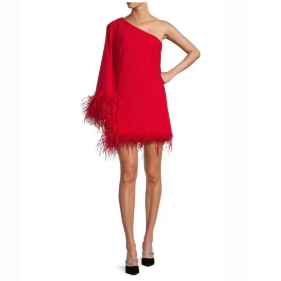 NWT Antonio Melani Cosima One Sleeve Asymmetrical Neckline Feather Trim Dress - Picture 6 of 10